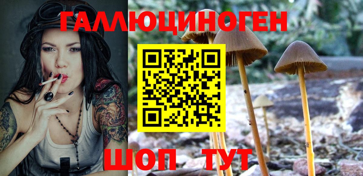 Новочеркасск  Галлюциногенные грибы Cubensis  Вход с VPN 