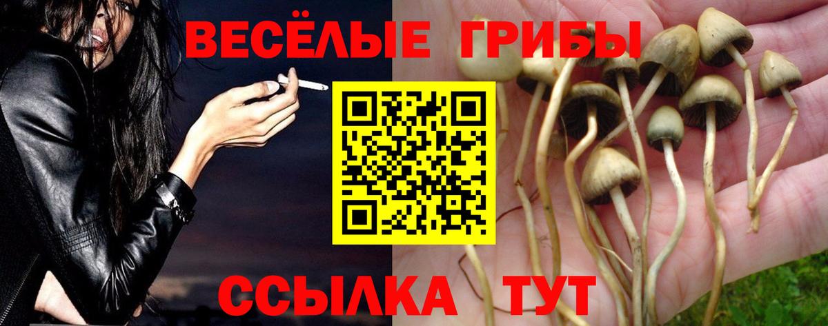 Псилоцибиновые грибы мухоморы Новочеркасск
